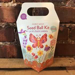 Wildflower Garden Seed Ball Kit - Modern Sprout