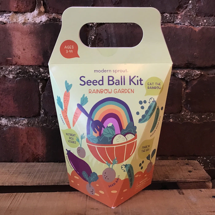 Rainbow Garden Seed Ball Kit - Modern Sprout